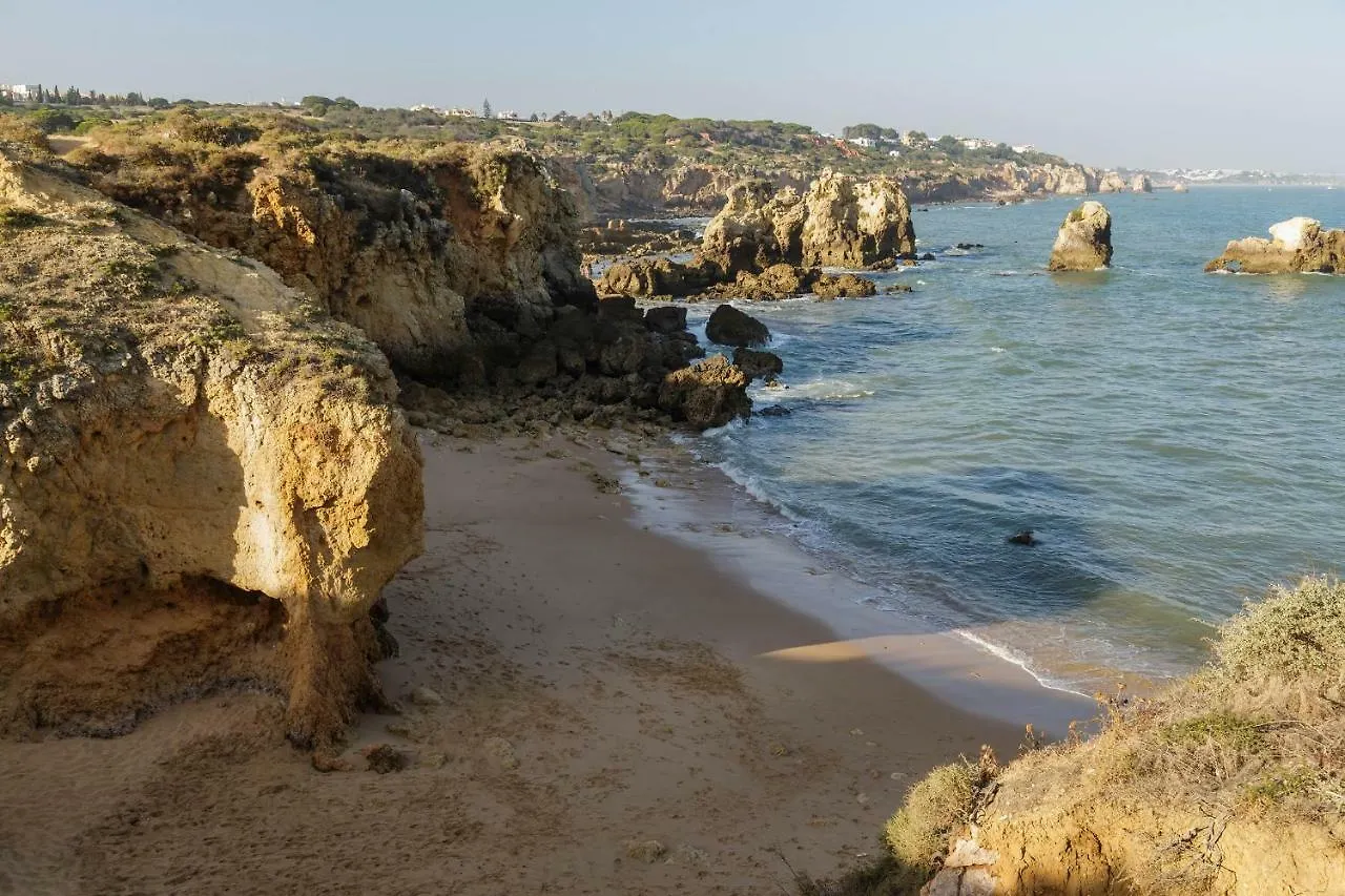 Beach Design House Sao Rafael contacts